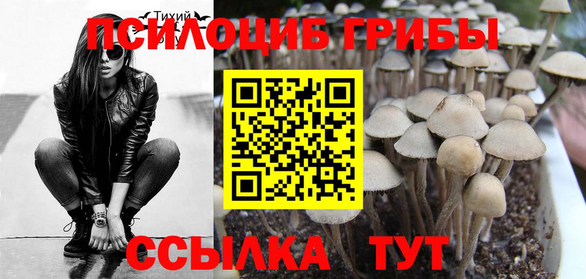 Псилоцибиновые грибы мухоморы Коряжма